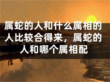 属蛇的人和什么属相的人比较合得来，属蛇的人和哪个属相配