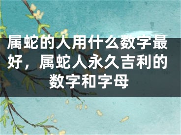 属蛇的人用什么数字最好，属蛇人永久吉利的数字和字母