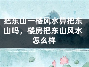 把东山一楼风水算把东山吗,楼房把东山风水怎么样