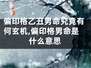 偏印格乙丑男命究竟有何玄机,偏印格男命是什么意思