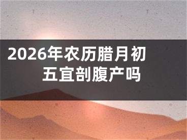 2026年农历腊月初五宜剖腹产吗