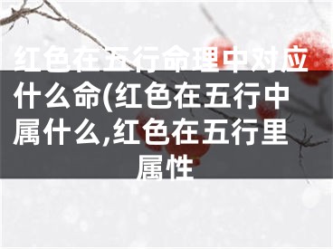 红色在五行命理中对应什么命(红色在五行中属什么,红色在五行里属性