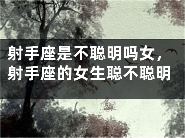 射手座是不聪明吗女，射手座的女生聪不聪明