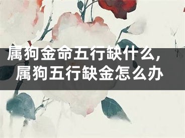 属狗金命五行缺什么,属狗五行缺金怎么办