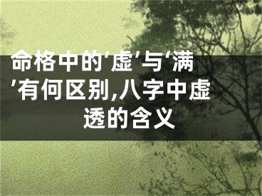 命格中的‘虚’与‘满’有何区别,八字中虚透的含义