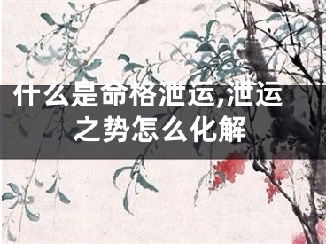 什么是命格泄运,泄运之势怎么化解