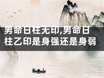 男命日柱无印,男命日柱乙印是身强还是身弱