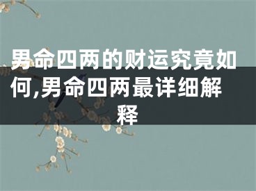 男命四两的财运究竟如何,男命四两最详细解释
