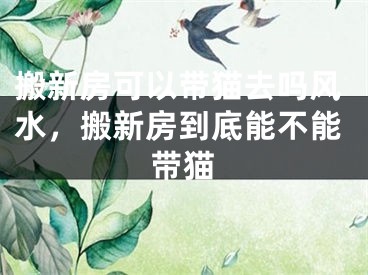 搬新房可以带猫去吗风水，搬新房到底能不能带猫