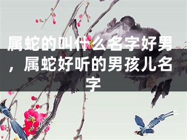 属蛇的叫什么名字好男，属蛇好听的男孩儿名字
