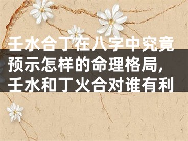 壬水合丁在八字中究竟预示怎样的命理格局,壬水和丁火合对谁有利
