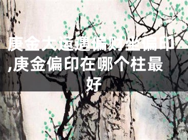 庚金大运遇偏财坐偏印,庚金偏印在哪个柱最好