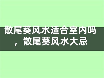 散尾葵风水适合室内吗，散尾葵风水大忌