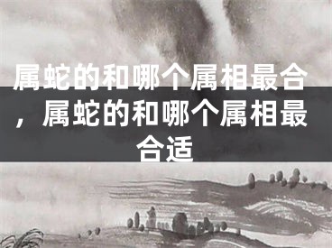 属蛇的和哪个属相最合，属蛇的和哪个属相最合适