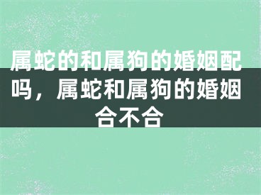 属蛇的和属狗的婚姻配吗，属蛇和属狗的婚姻合不合