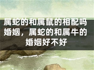 属蛇的和属鼠的相配吗婚姻，属蛇的和属牛的婚姻好不好