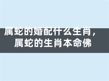 属蛇的婚配什么生肖，属蛇的生肖本命佛