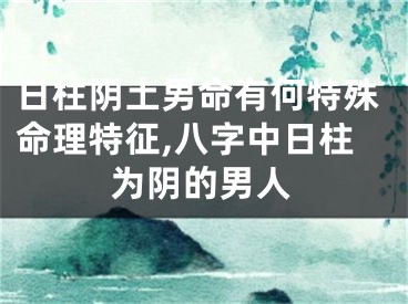 日柱阴土男命有何特殊命理特征,八字中日柱为阴的男人