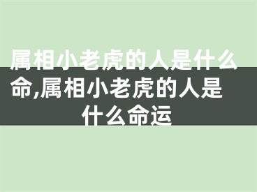属相小老虎的人是什么命,属相小老虎的人是什么命运