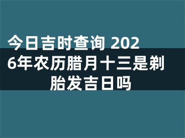 今日吉时查询 2026年农历腊月十三是剃胎发吉日吗