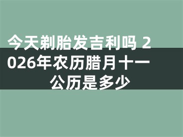 今天剃胎发吉利吗 2026年农历腊月十一公历是多少