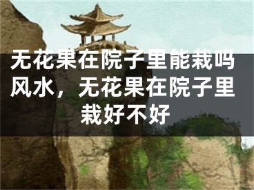 无花果在院子里能栽吗风水，无花果在院子里栽好不好