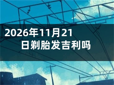 2026年11月21日剃胎发吉利吗