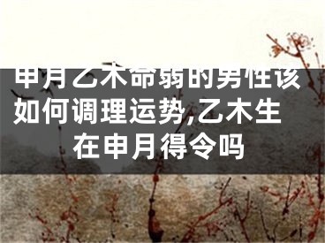 申月乙木命弱的男性该如何调理运势,乙木生在申月得令吗