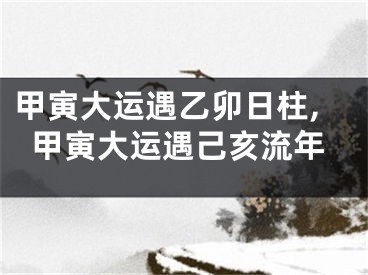 甲寅大运遇乙卯日柱,甲寅大运遇己亥流年