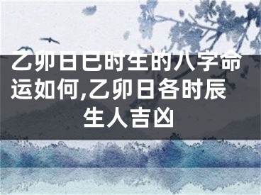 乙卯日巳时生的八字命运如何,乙卯日各时辰生人吉凶