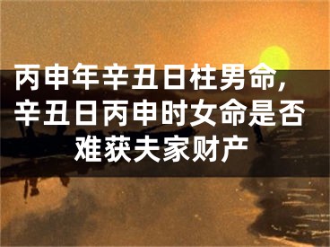 丙申年辛丑日柱男命,辛丑日丙申时女命是否难获夫家财产