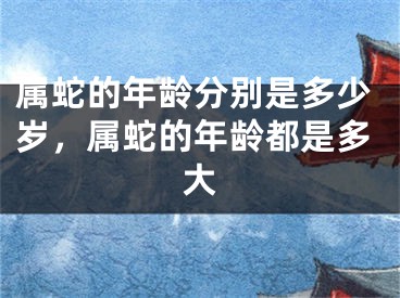 属蛇的年龄分别是多少岁，属蛇的年龄都是多大