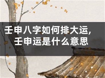 壬申八字如何排大运,壬申运是什么意思