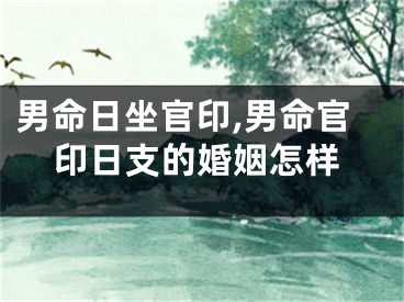 男命日坐官印,男命官印日支的婚姻怎样
