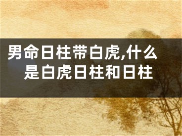 男命日柱带白虎,什么是白虎日柱和日柱