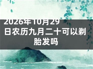 2026年10月29日农历九月二十可以剃胎发吗