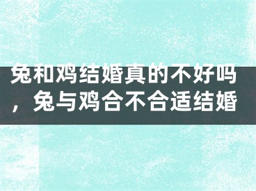 兔和鸡结婚真的不好吗,兔与鸡合不合适结婚