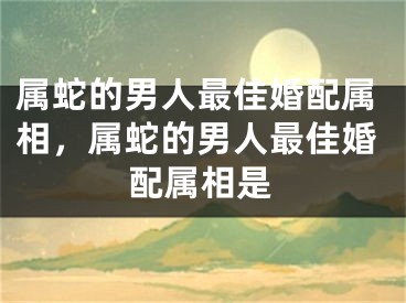 属蛇的男人最佳婚配属相，属蛇的男人最佳婚配属相是