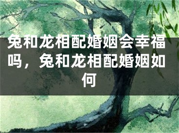 兔和龙相配婚姻会幸福吗，兔和龙相配婚姻如何