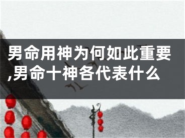 男命用神为何如此重要,男命十神各代表什么