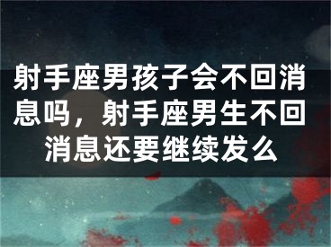 射手座男孩子会不回消息吗，射手座男生不回消息还要继续发么