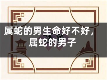 属蛇的男生命好不好,属蛇的男子