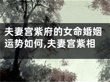 夫妻宫紫府的女命婚姻运势如何,夫妻宫紫相