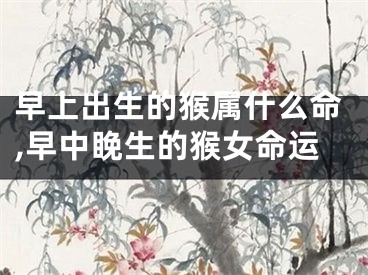早上出生的猴属什么命,早中睌生的猴女命运