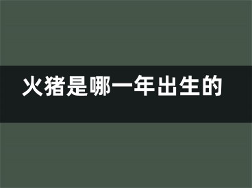 火猪是哪一年出生的