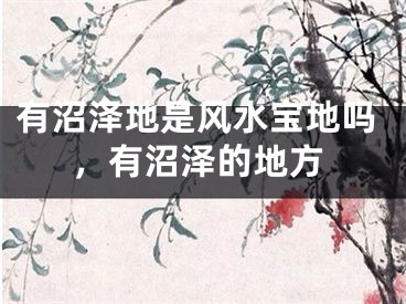 有沼泽地是风水宝地吗，有沼泽的地方