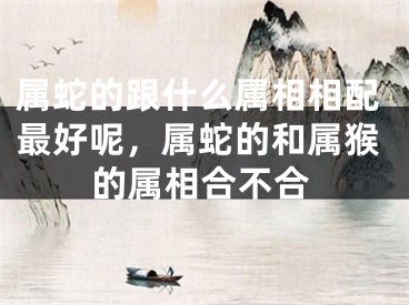 属蛇的跟什么属相相配最好呢，属蛇的和属猴的属相合不合