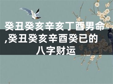 癸丑癸亥辛亥丁酉男命,癸丑癸亥辛酉癸已的八字财运