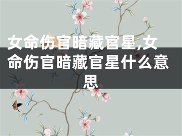 女命伤官暗藏官星,女命伤官暗藏官星什么意思