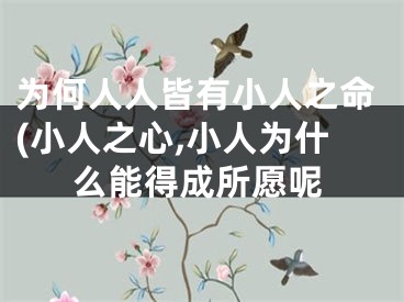 为何人人皆有小人之命(小人之心,小人为什么能得成所愿呢